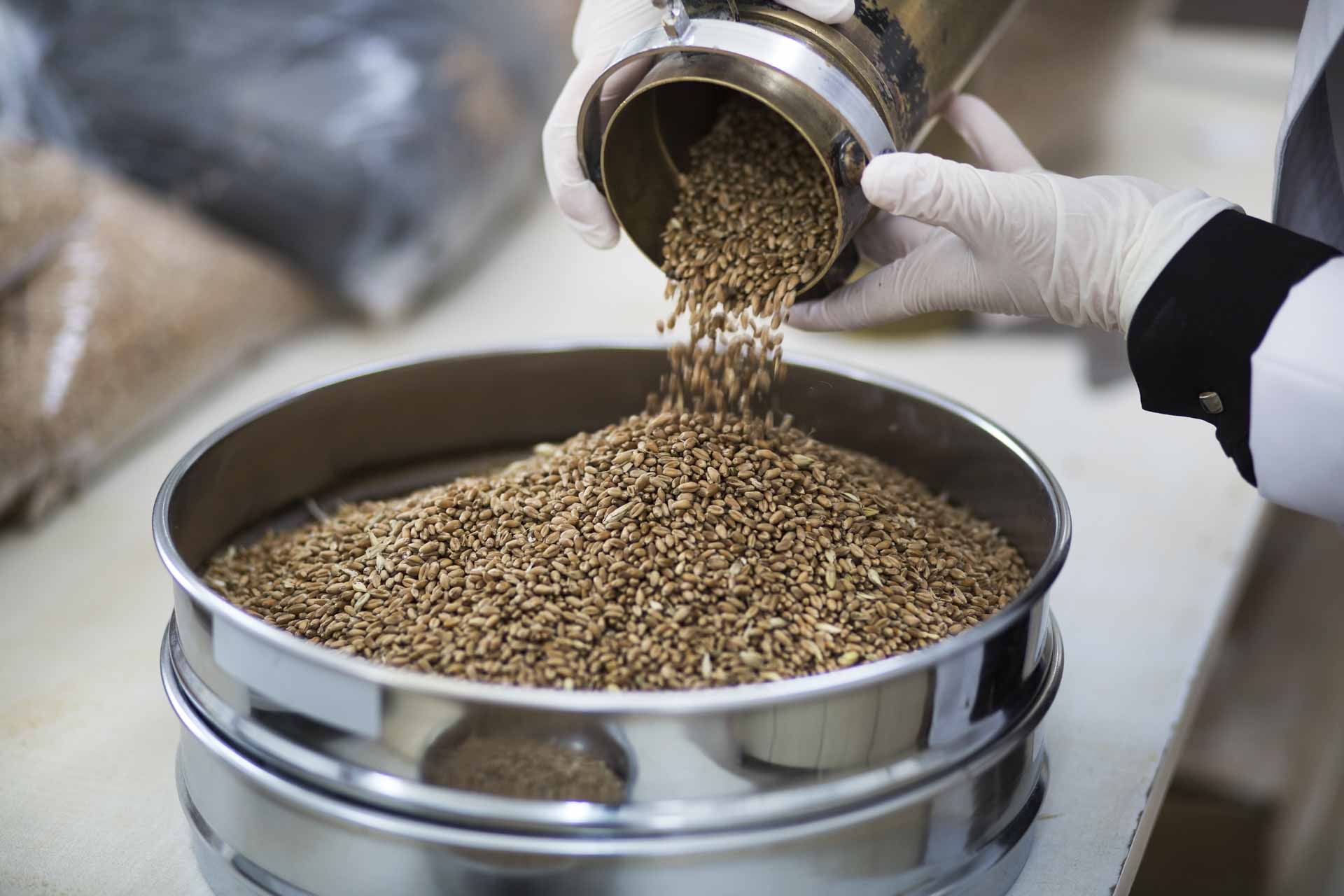 person filling feeder through tube